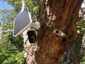 camera_with_solar_panel_mounted_to_tree