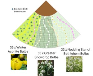 Tree_Ring_winter_bulbs